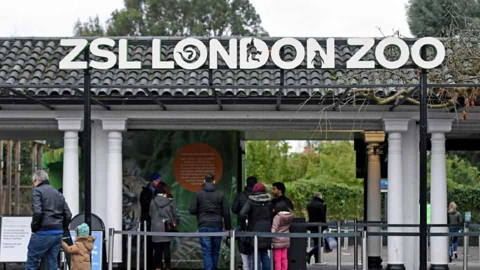 People purchasing tickets at London Zoo