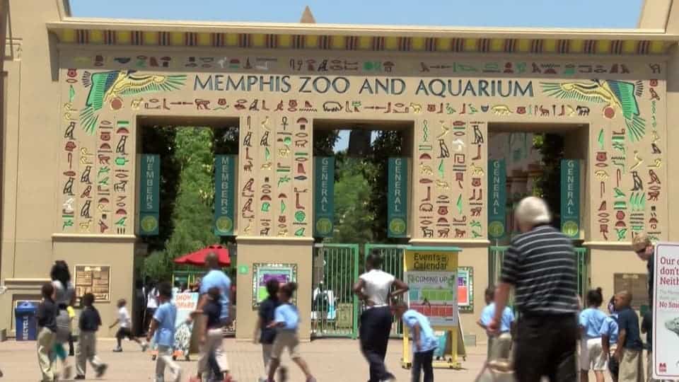 people outside Memphis Zoo