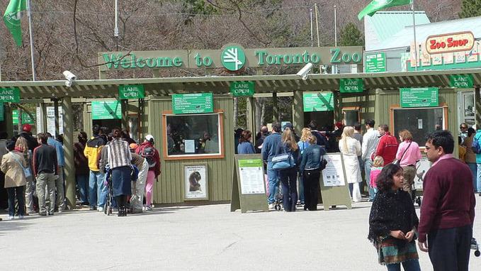 people buying tickets at Toronto Zoo